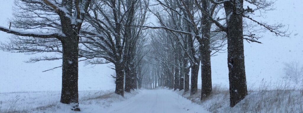 Vitalitaet_Lebensmitte_Winter